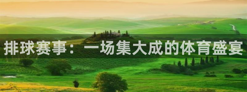 od体育网站