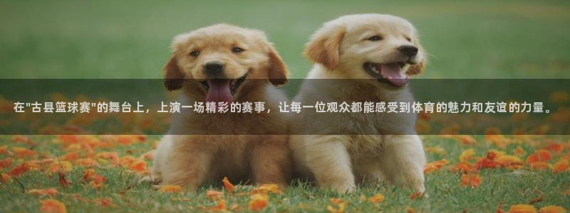 od体育网网址