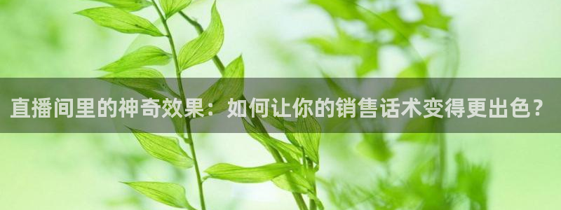 龙门体育视频直播：直播间里的神奇效果：如何让你的销售话术变得更出色？
