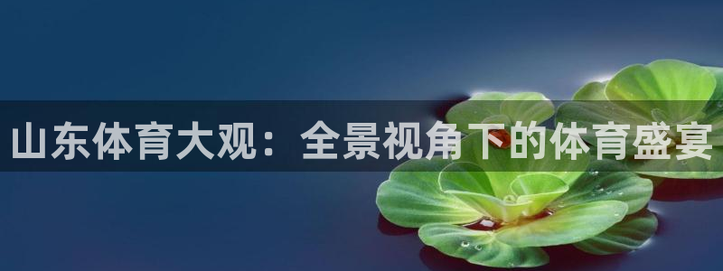 龙门nba免费直播：山东体育大观：全景视角下的体育盛宴