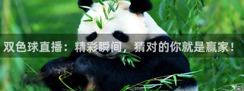 nba直播免费观看直播在线龙门：双色球直播：精彩瞬间，猜对的你就是赢家！