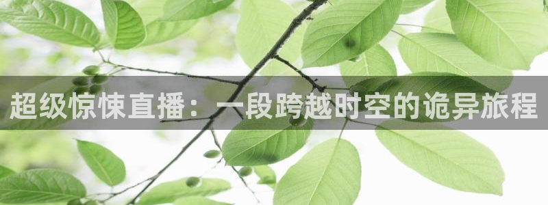 下载龙门直播：超级惊悚直播：一段跨越时空的诡异旅程