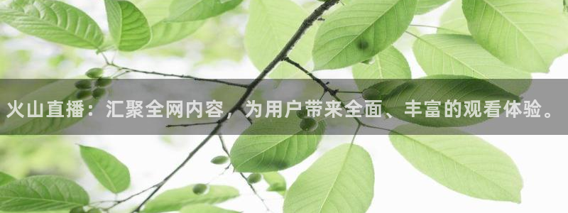 龙门直播nba免费直播下载：火山直播：汇聚全网内容，为用户带来全面、丰富的观看体验。