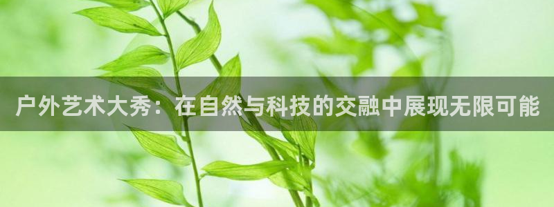 龙门足球直播：户外艺术大秀：在自然与科技的交融中展现无限可能