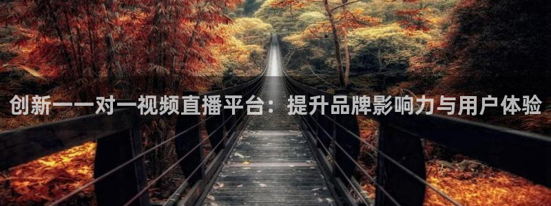 龙门直播吧：创新一一对一视频直播平台：提升品牌影响力与用户体验