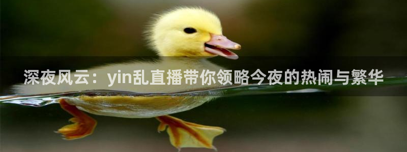 龙门免费直播：深夜风云：yin乱直播带你领略今夜的热闹与繁华