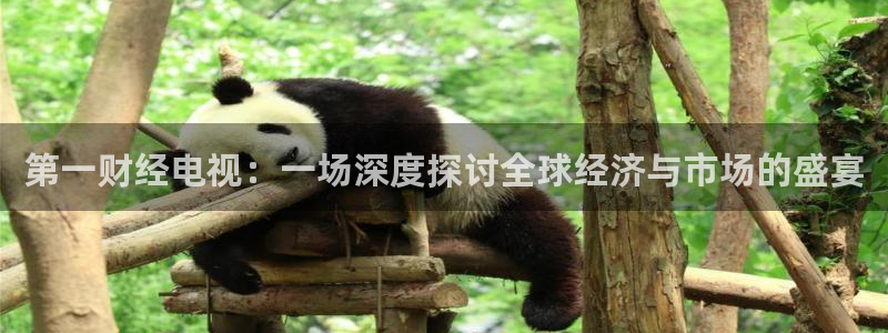 jrs直播低调看直播nba直播 龙门直播：第一财经电视：一场深度探讨全球经济与市场的盛宴