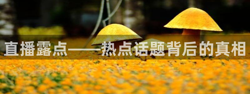 nba直播免费观看直播在线龙门：直播露点——热点话题背后的真相