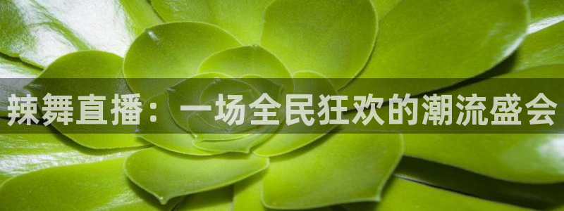 下载龙门直播：辣舞直播：一场全民狂欢的潮流盛会